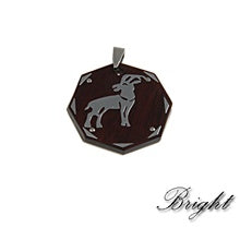 Stainless Steel Pendant