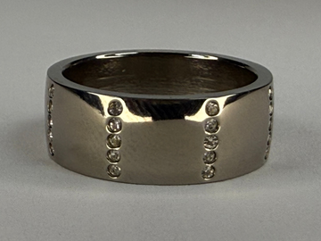 Titanium Ring w/ CZ Rows