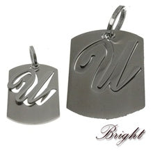 Stainless Steel Pendant
