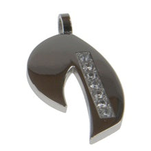 Stainless Steel Pendant